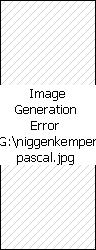 Pascal Niggenkemper